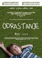 Odrastanje (2014)<br><small><i>Boyhood</i></small>