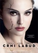 <b>Natalie Portman</b><br>Crni labud (2010)<br><small><i>Black Swan</i></small>
