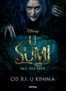 <b>Colleen Atwood</b><br>U šumi (2014)<br><small><i>Into the Woods</i></small>