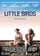 Little Birds (2011)<br><small><i>Little Birds</i></small>