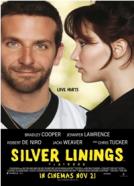 <b>David O. Russel</b><br>U dobru i u zlu (2012)<br><small><i>The Silver Linings Playbook</i></small>