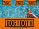 Dogtooth (2009)<br><small><i>Kynodontas</i></small>