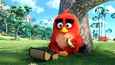Film - Angry Birds Film