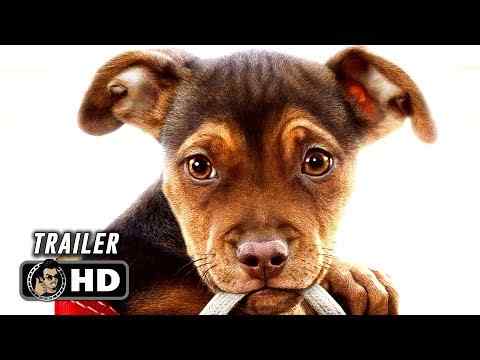 A Dog's Way Home - trailer 1