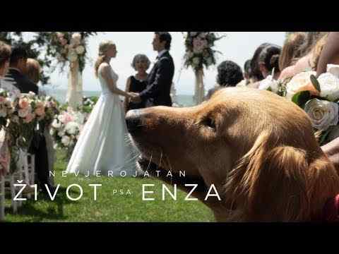 Nevjerojatan život psa Enza - TV Spot 1