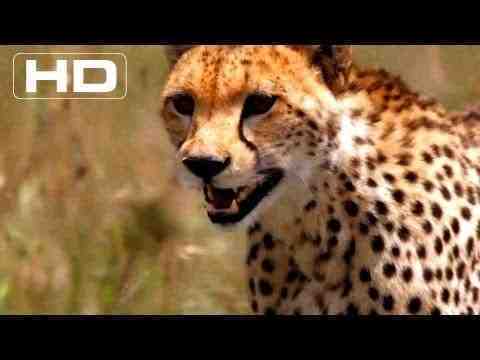 African Cats - trailer