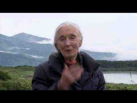 Bears - Jane Goodall soundbites