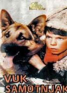 Vuk samotnjak